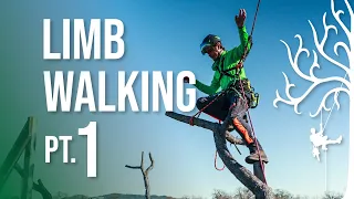 Limb Walking Tricks Techniques for Climbing Trees SRT Pt.1
