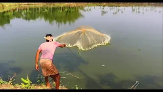 Net Fishing | Traditional cast net fishing in village | Fishing with a cast net (Part 67)