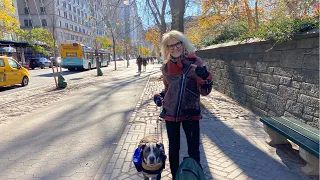 NYC LIVE Walking Central Park to See Inflation of Macy’s Thanksgiving Day Parade Balloons 2021