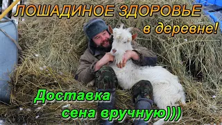 Чтобы жить в деревне, нужно иметь лошадиное здоровье.))) Доставка сена вручную. Потеряевка 2020.