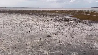 Hurricane Ian pulls water out of Tampa Bay