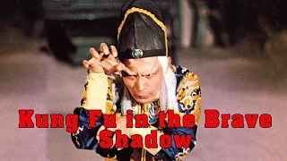 Wu Tang Collection - Brave in the Kung Fu Shadow