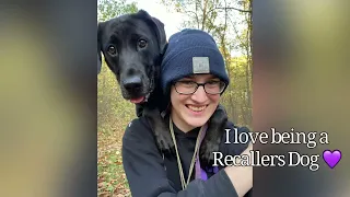 Dog Training using Recallers Games is the Road to Endless Adventures