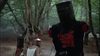 Monty Python & The Holy Grail: "...It's just a flesh wound..."