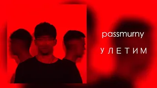 passmurny - Улетим (Audio, 2019)