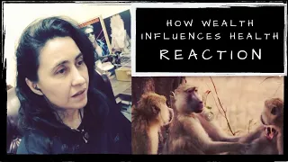 How Wealth Influences Health [Part 2] | REACTION | Cyn's Corner