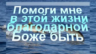 Помоги мне в этой жизни благодарной Боже быть - Христианские песни - 292