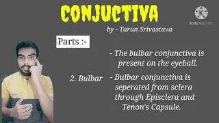 Conjunctiva : Complete explanation in easiest way in Hindi