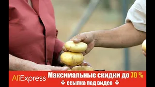 Что нужно сделать, чтобы картошка не прорастала в погребе: поможет маленькая хитрость.