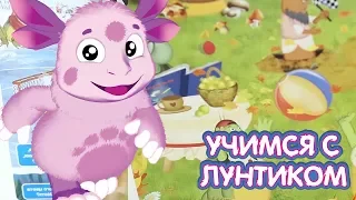 Книжки-гляделки | Виммельбух 📗 Учимся с Лунтиком 📕 Новая серия