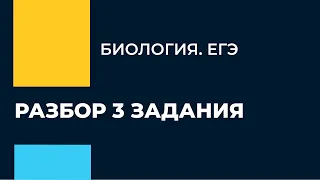 ЕГЭ по Биологии. Разбор 3 задания