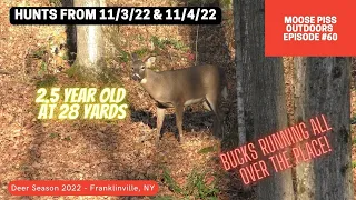 Bow Hunting Pre-Rut Western New York - 6 different Bucks cruising during this sit! Nice 2.5 year old