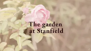 Garden Activities at Stanfield Nursing Home, Worcester | #GardenActivities