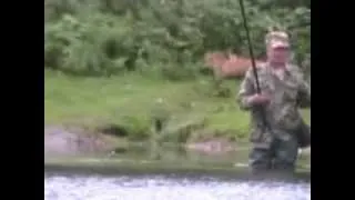 лиса и рыбак