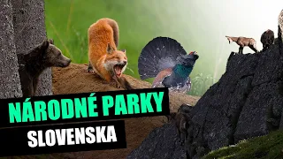 Národne parky Slovenska // dokumentárna séria