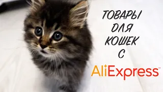 Товары для кошек с AliExpress || Покупки с Алиэкспресс