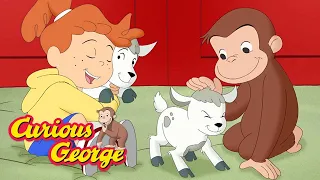 Curious George 🐑 George Goes to the Farm 🚜 Kids Cartoon 🐵 Kids Movies 🐵 Videos for Kids