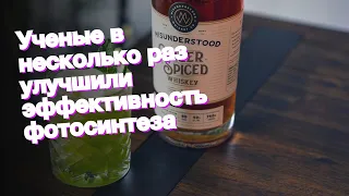 Ученые в несколько раз улучшили эффективность фотосинтеза