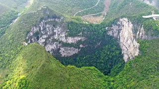 Scientists discover an ancient forest inside a giant sinkhole in China