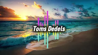 Summer 2024 House mix ~ Toms Dedels