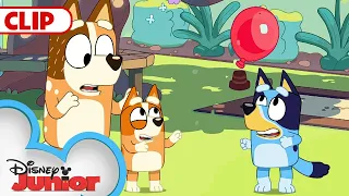 Bluey Season 1 Episode 3 "Keepy Uppy" Episode Clip | @disneyjunior​ | @BlueyOfficialChannel​