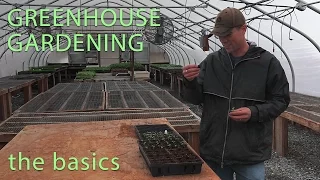 The Basics of Greenhouse Gardening