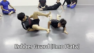 [Bjj][NoGi]Submissions From Rubber Guard