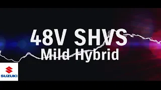 48V SHVS Mild Hybrid System |  Suzuki