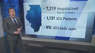 Covid hospitalizations plateau in Illinois