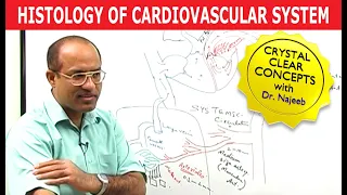 Histology of Cardiovascular System