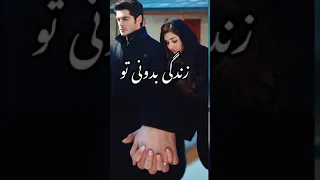 ترجمه آهنگ هندی به دری hai del hai mushkil