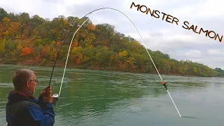 Catching GIANT SALMON from shore in the NIAGARA RIVER