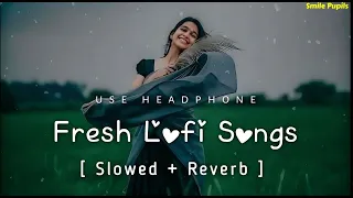 Mind Fresh Instagram lofi Song || Slowed & Reverb || Trending Instagram Love Hindi Lo-fi Songs 2024