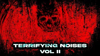 Bizarre and Terrifying Noises From The Internet [Vol. 2]