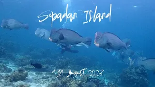 Sipadan island 9-14 August 2023