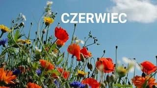 KOZIOROŻEC CZERWIEC 2024- to twoj czas, do dziela !🐞🦋