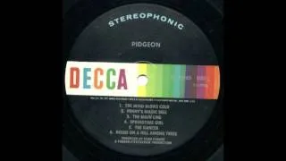 Pidgeon   Dark Bird 1969 LP Decca Jobriath