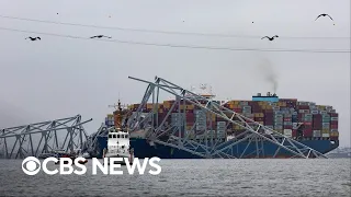 Baltimore bridge collapse investigators probe collision timeline