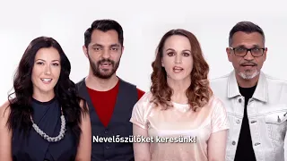 Nevelőszülőket keresünk!