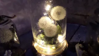 DIY/ mein PUSTEBLUMEN Aquarium / Deko Gläser BASTELN komplett in Upcycling :))  Deko Lampe...