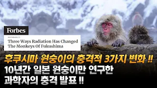 후쿠시마 원숭이의 충격적 근황 !!