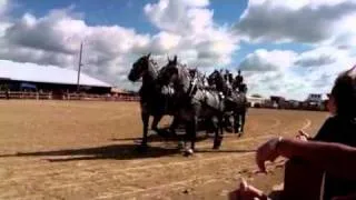 6 Horse hitch at Walworth County Fair