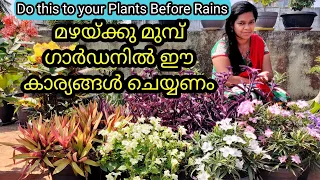 15 Tips to Save Garden Plants from Rains | മഴക്കാലം ചെടികളെ സംരക്ഷിക്കാൻ അറിഞ്ഞിരിക്കേണ്ട 12 ടിപ്സ്