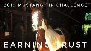 Earning Trust | 2019 Mustang TIP Challenge