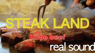 일본 고베 와규 스테이크랜드 Japanese Kobe Wagyu Restaurant Steak Land Sketch Film real sound