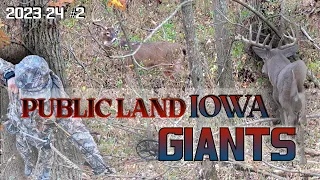 Iowa Public Land Giants
