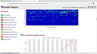 Galaxy RNA Seq Full Tutorial