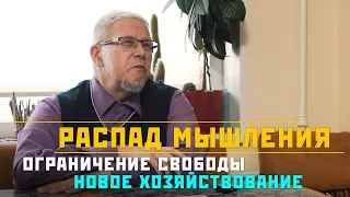 Ограничение Свободы. Потеря Мышления. Новое Хозяйство. Сергей Переслегин