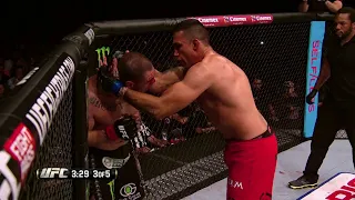 Fabricio Werdum Highlight