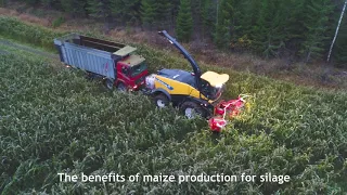 Production of grass, whole crop silage and maize silage in Finland